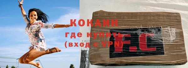 стаф Магас