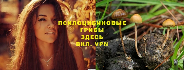 соль курить ск Медвежьегорск