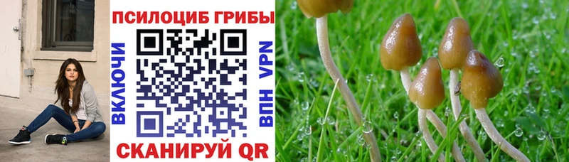 МЕГА вход  Уссурийск  Галлюциногенные грибы мухоморы  сколько стоит 