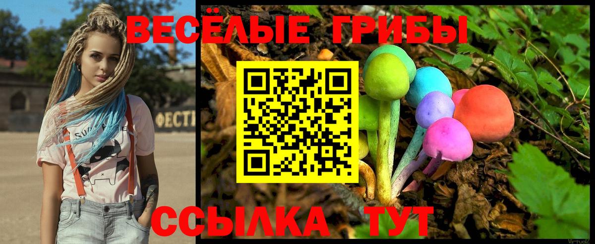Галлюциногенные грибы Psilocybe Уссурийск