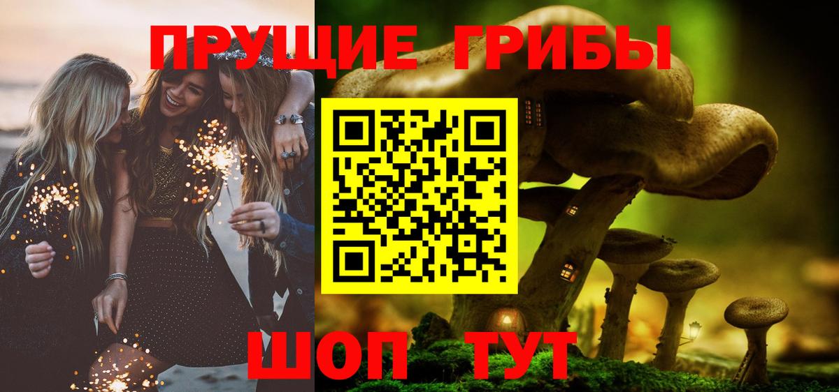Уссурийск  Псилоцибиновые грибы GOLDEN TEACHER  Вход с VPN  Галлюциногенные грибы Magic Shrooms 